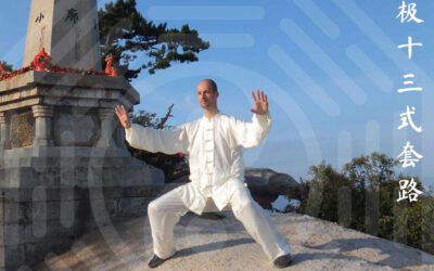 Webinar: Was ist Neidan Gong? Methoden und Konzepte des Schulungsweges der daoistischen Drachentorschule (kostenlos)