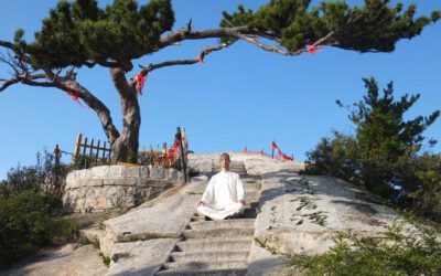 Webinar: Daoistische Meditation – Die Grundlagen (kostenlos)