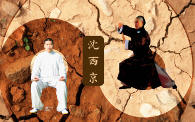 Anmeldung zur Seminarreihen “Die Öffnung der drei Dantian (Kai San Dan)” mit Großmeister Shen Xijing – 2024 und 2025