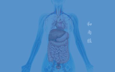Anmeldung – Die Harmonisierung deiner inneren Organe – Der verborgene Schlüssel zu Gesundheit, Vitalität und innerem Gleichgewicht – Thema 2 – Die Harmonisierung der Nieren (Workshopreihe – Termine 2024 bis 2025)