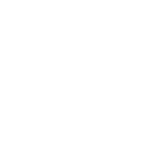 Netzwerk Magazin